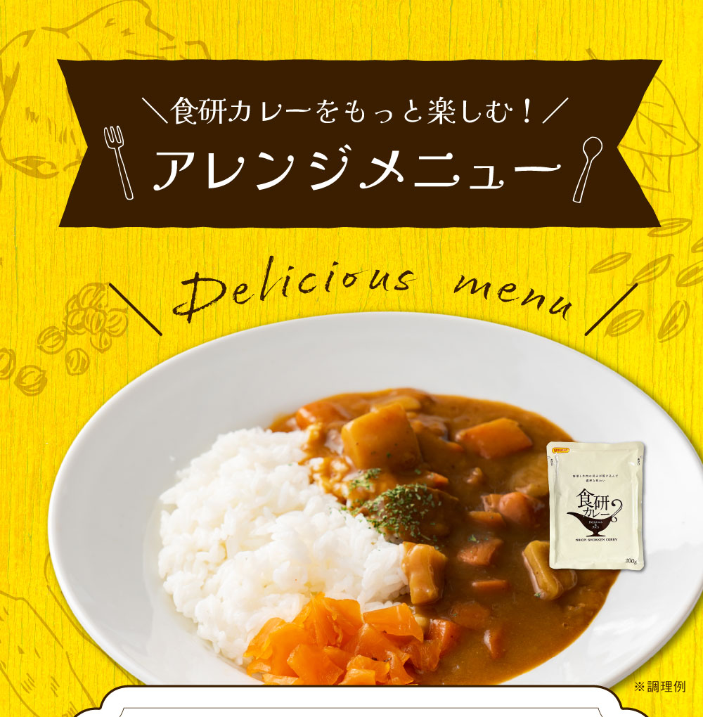 食研カレー 4食 (200g×4) 日本食研 中辛 送料無料 レトルトカレー 非常用 防災 備蓄 フード