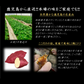 【今期新物】紅まさり3kg