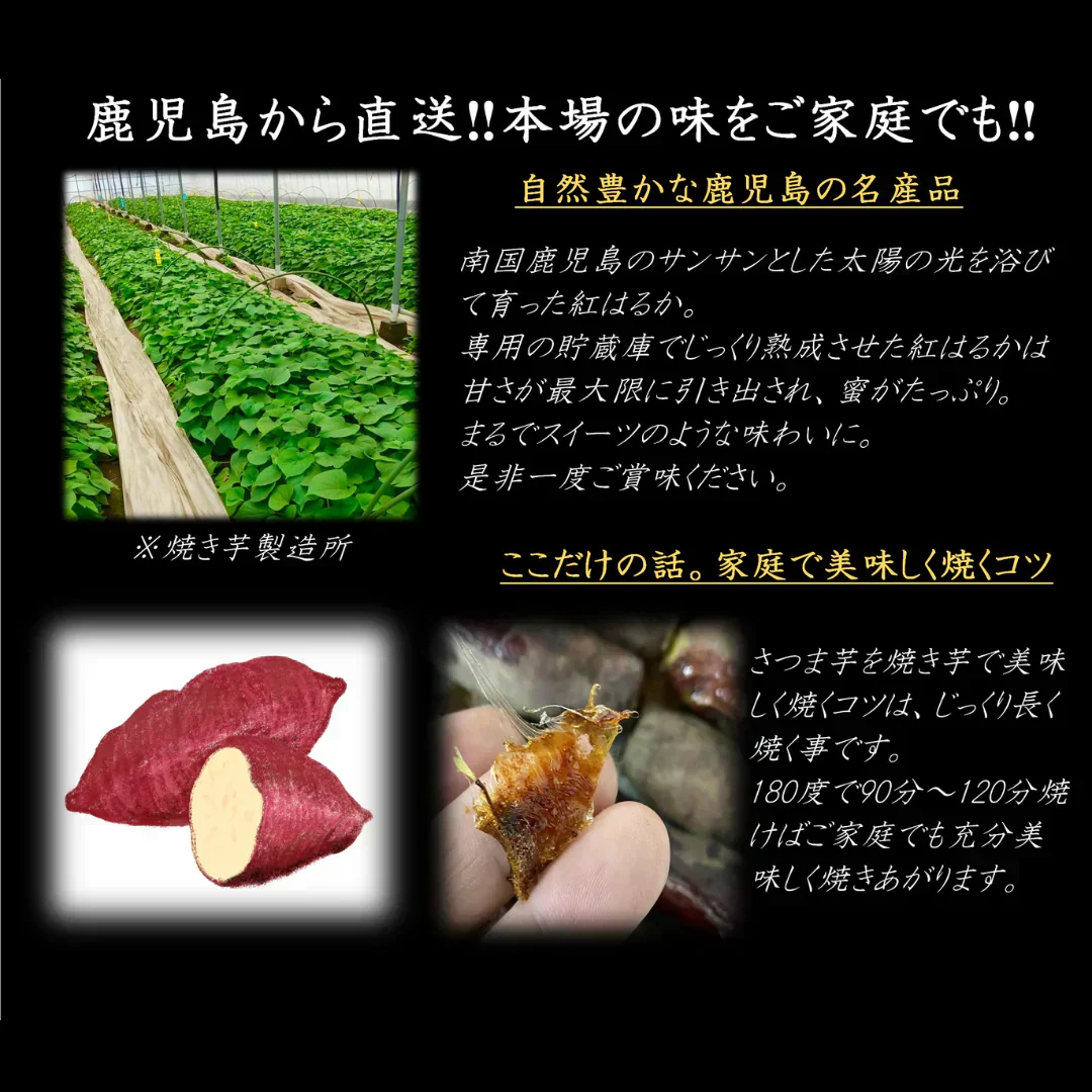 【今期新物】紅まさり3kg