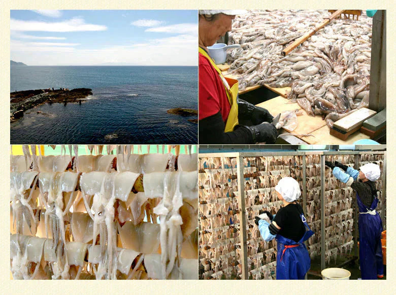 スルメ 無添加 子ども するめ 8枚 おつまみ 国産 北海道産 するめ 珍味 あたりめ ゲソ付 いか スルメイカ