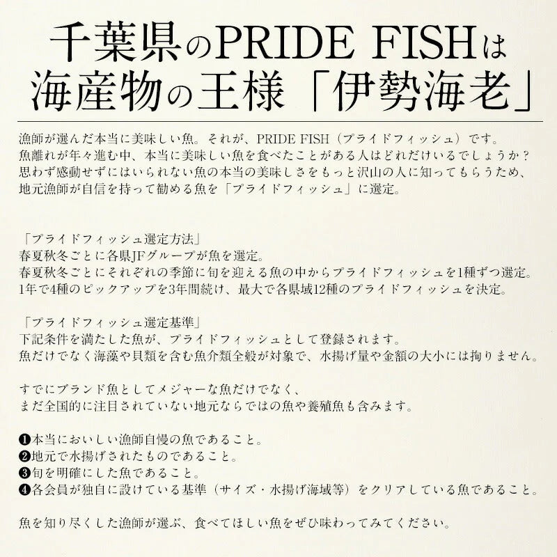 伊勢海老 千葉県産 外房イセエビ 特大サイズ600g×1尾 刺身 冷凍 伊勢エビ 伊勢えび えび エビ 海鮮 魚介 プリプリ 濃厚 グルメ 贈り物 ［送料無料］ 母の日 プレゼント ギフト  母の日思いの 健康 実用的 父の日 子供 孫