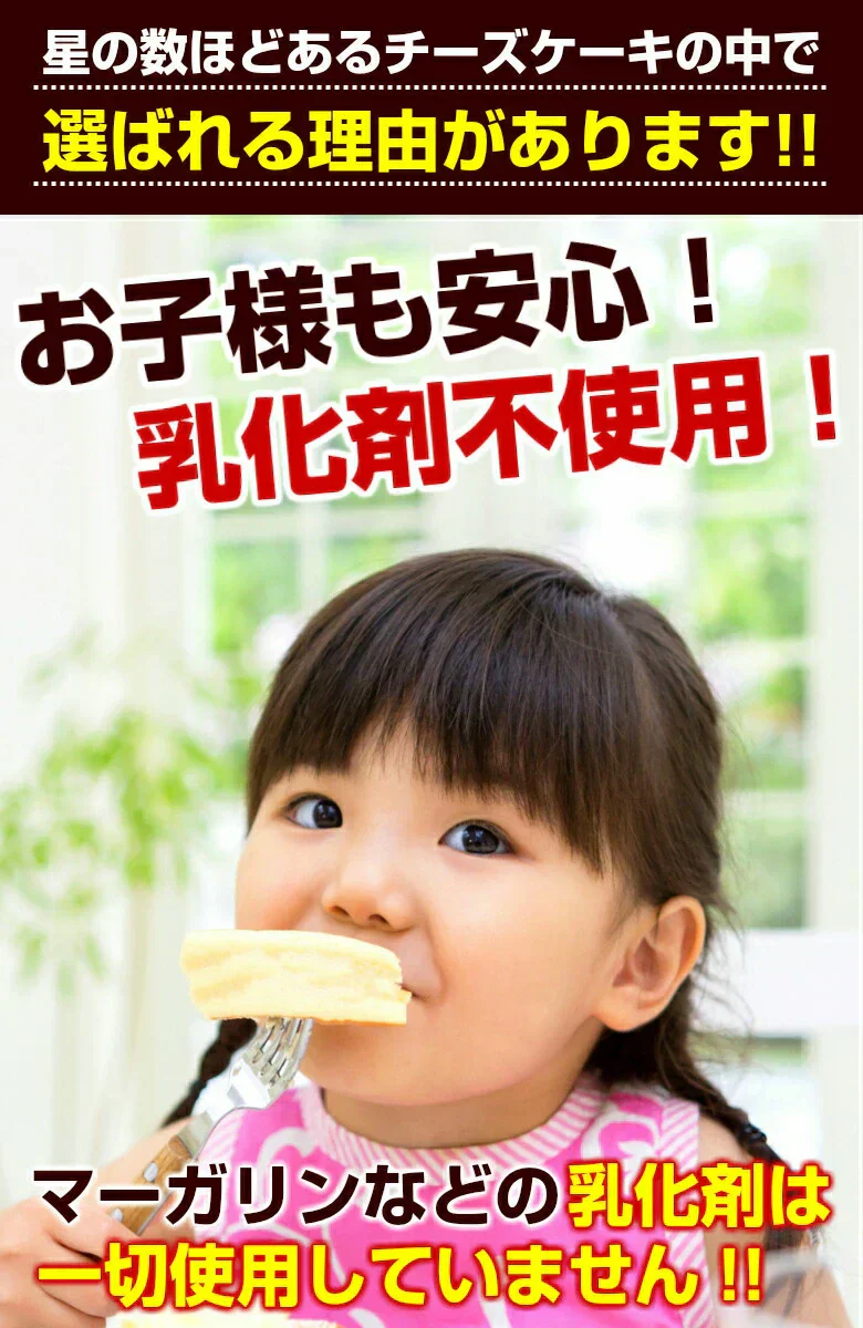 【在庫処分特価】北海道チーズケーキ 2個【賞味期限：2024年10月13日】