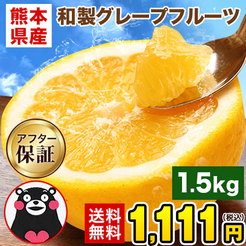 河内晩柑 送料無料 1.5kg 和製 グレープフルーツ 旬 の フルーツ 果物 みかん 訳あり 夏文旦 晩柑 宇和ゴールド ジューシーみかん 熊本県産 《1-5営業日以内に発送予定(土日祝日除く)》