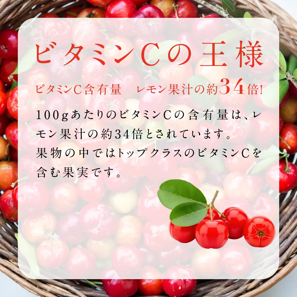 アセロラたっぷりビタミンC《約3ヶ月分》サプリ/アセロラサプリ/ビタミンCサプリ