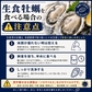 2L、Mサイズが選べる　カキ 牡蠣 かき 生食用 殻付き 1kg　Mサイズ（14～16個）　冷凍 ［送料無料］ 生牡蠣 生食 美味しい 冷凍牡蠣 生ガキ 生食用カキ お取り寄せ 殻付き牡蠣 高鮮度 贈り物 お取り寄せグルメ 贈答用