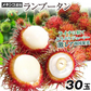 ランブータン 30玉 メキシコ産他