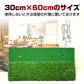 【送料無料】ゴルフマット 練習器具 30cm×60cm 室内 トレーニング スイング 素振り 人工芝 ラフ ティー付 od422