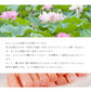 食卓がパッと華やかに！ 蓮の茎 甘酢漬け 2袋セット レンコン 甘酢漬け 惣菜 ごはんのおとも おかず 惣菜 ハス 甘酢 おつまみ あと一品 簡単 手軽 酢の物 れんこん 蓮根 漬物 つけもの 送料無料 メール便