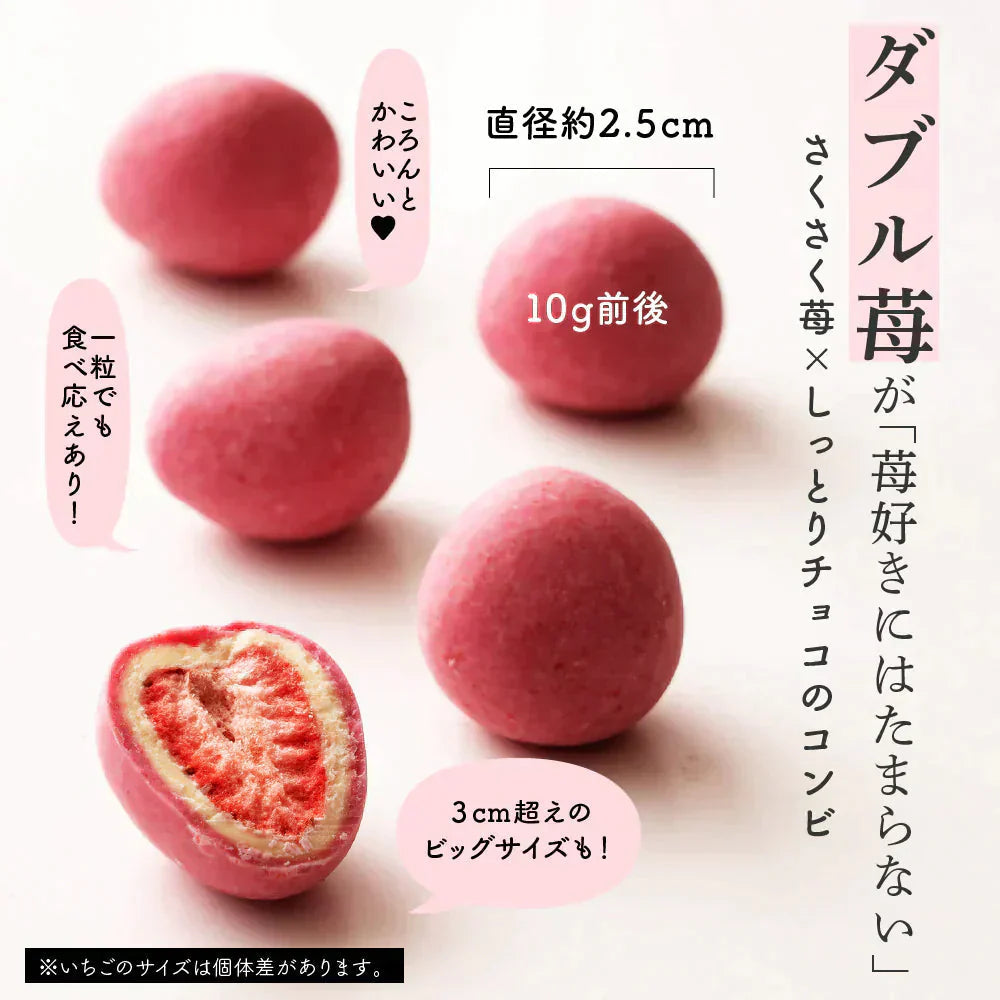 まるごと苺チョコレート 100g チョコレート スイーツ いちごまるごと ホワイトチョコ イチゴ いちご ストロベリーチョコ いちごトリュフ フリーズドライ チョコ 友チョコ 自分チョコ