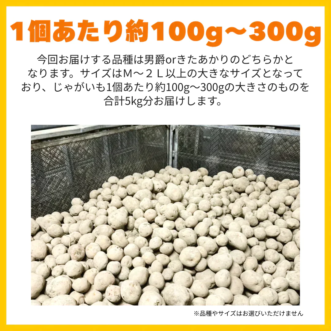 訳あり・規格外北海道じゃがいも 5kg【ご新規さん限定商品】