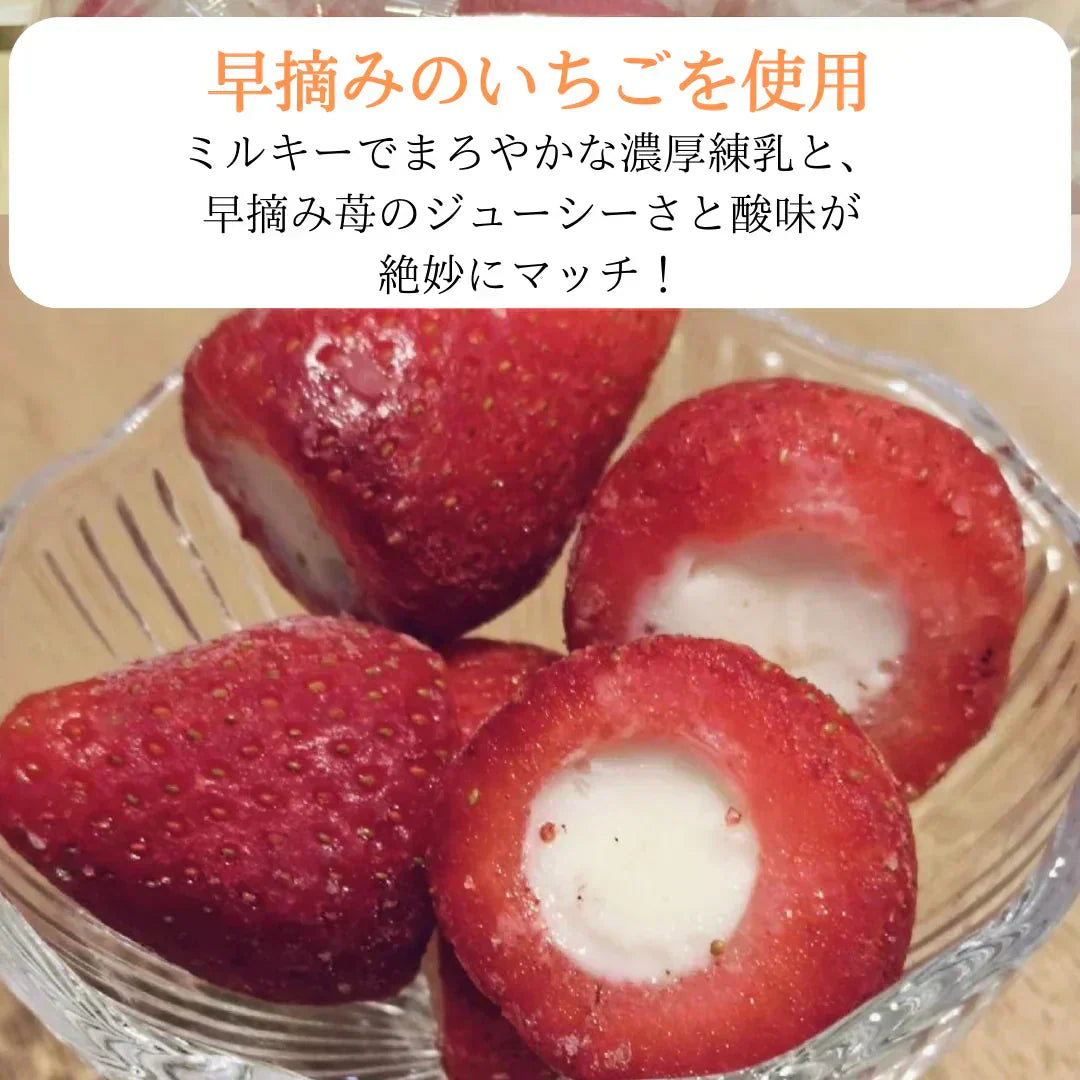【濃厚】ミルクのまるごと苺アイス 50粒 いちご 練乳 アイス 苺 イチゴ 春摘み アイスクリーム 果物 フルーツ 青果 野菜 市場 デザート ギフト 贈答 お中元 お歳暮