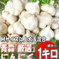 【新物】令和8年産 青森県産にんにく 1㎏ 訳あり C品 Mサイズ以上大玉混合 福地ホワイト六片種