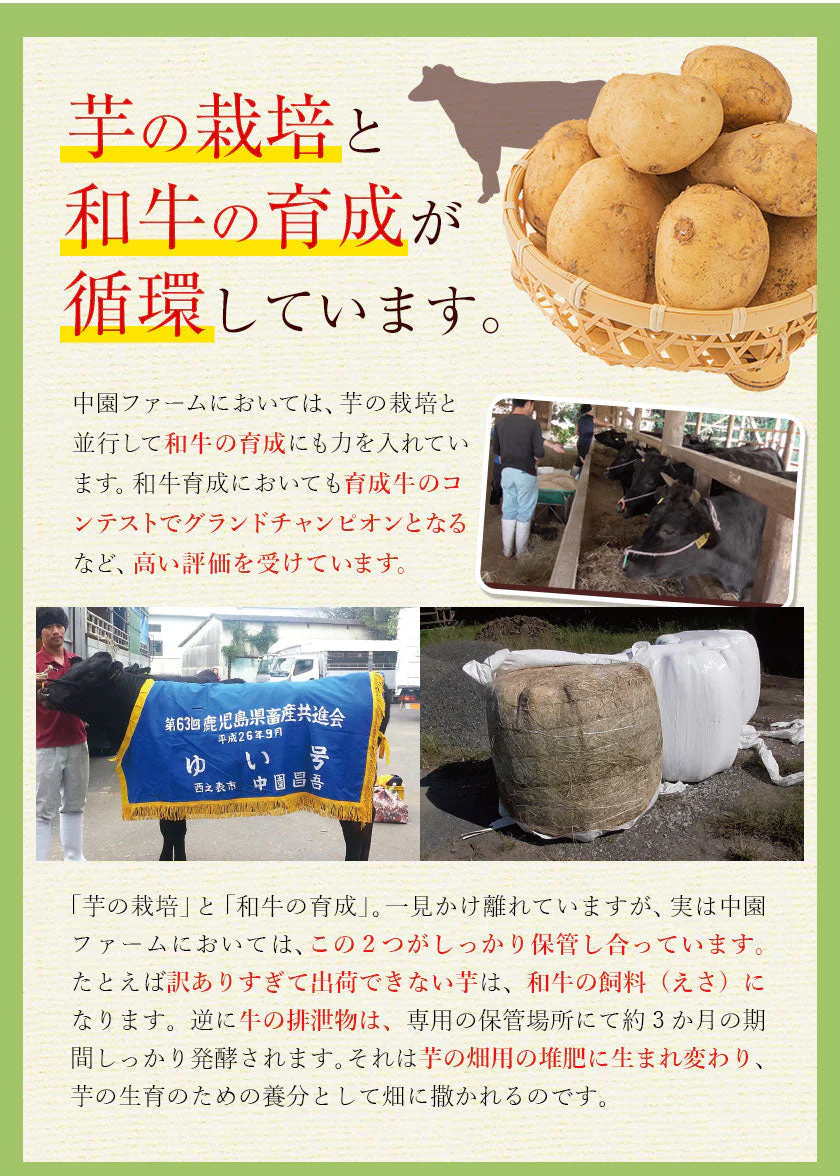 中園ファームのじゃがいも 新じゃが (馬鈴薯) 訳あり 10kg (M～2Lサイズ混合) 種子島産 ジャガイモ 芋 野菜 お取り寄せ