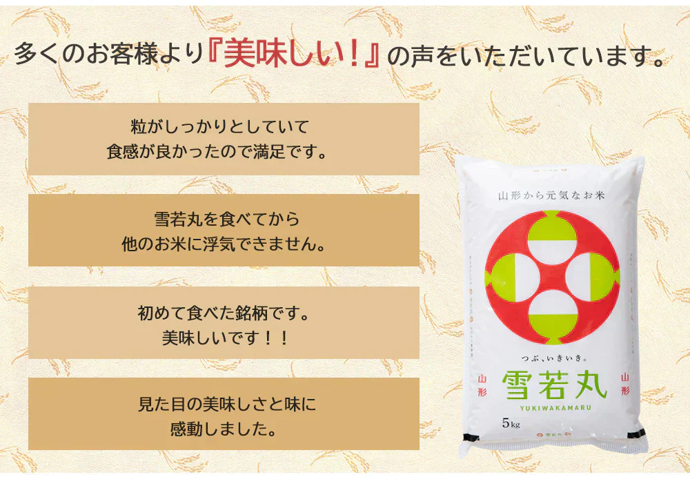 米 2kg 雪若丸 精米 山形県産 送料無料 令和6年産 ギフト 単一原料米 ブランド米 こめ コメ 白米 産地直送 kkb-004