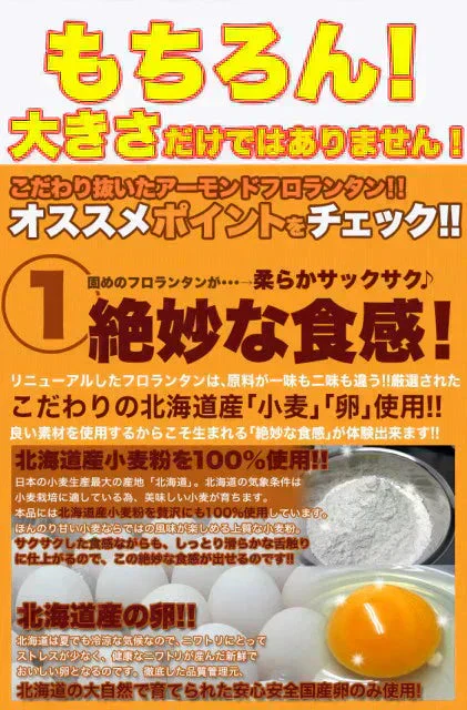 【2026/5/12以降順次出荷となります】６個入り フロランタン＆チョコブラウニー