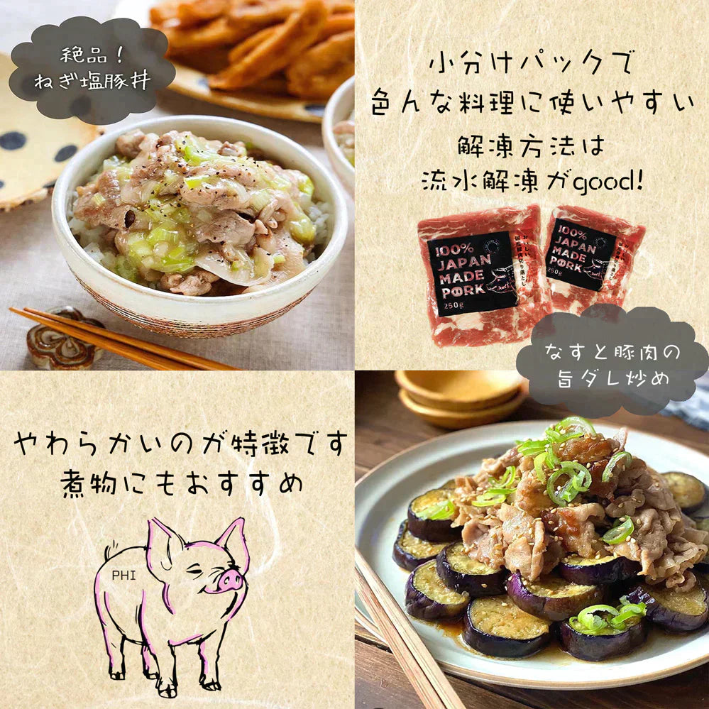 国産 豚肉 切り落とし 【便利な小分けパック】２kg ( 250g × 8パック) 肉 真空パック 長期保存可能