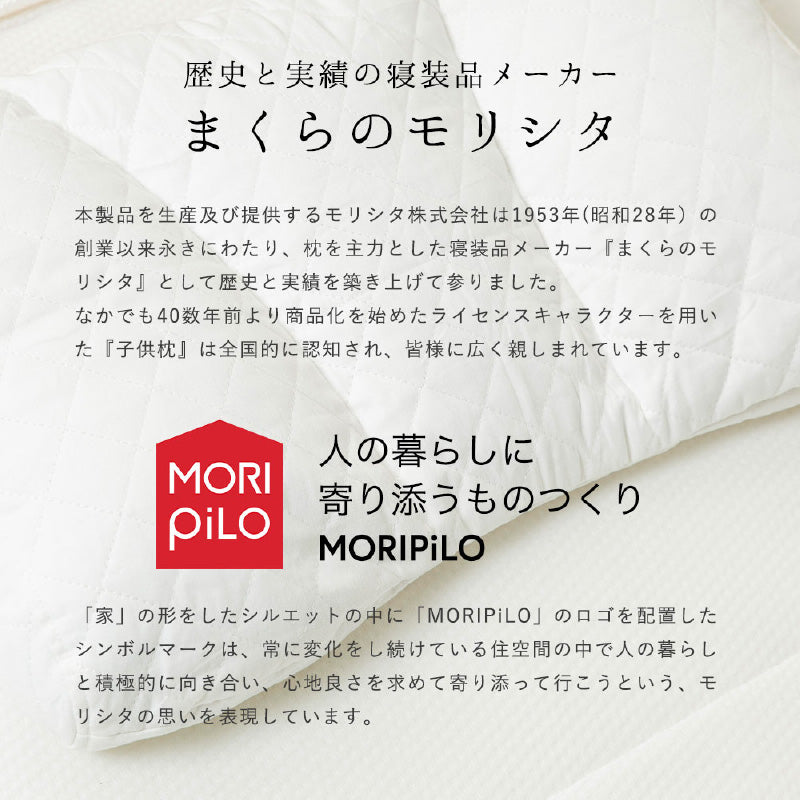 うもれる贅沢ビーズわたまくら 専用カバー付