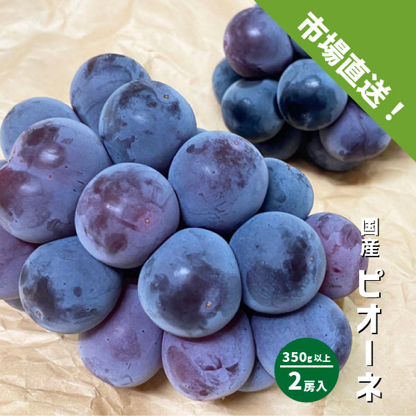 ピオーネ ２房（約350g以上×2房） 種無しぶどう 紫 ぶどう 山梨県 長野県 和歌山県 国産