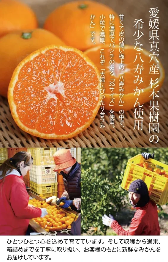 【特別特価】愛媛県産みかん大福6個セット(冷凍/賞味期限:5月中旬ごろ)