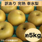 完熟 幸水 梨 訳あり 熊本産 箱込5kg (約8～24玉)【クール便発送】【7月下旬より発送】