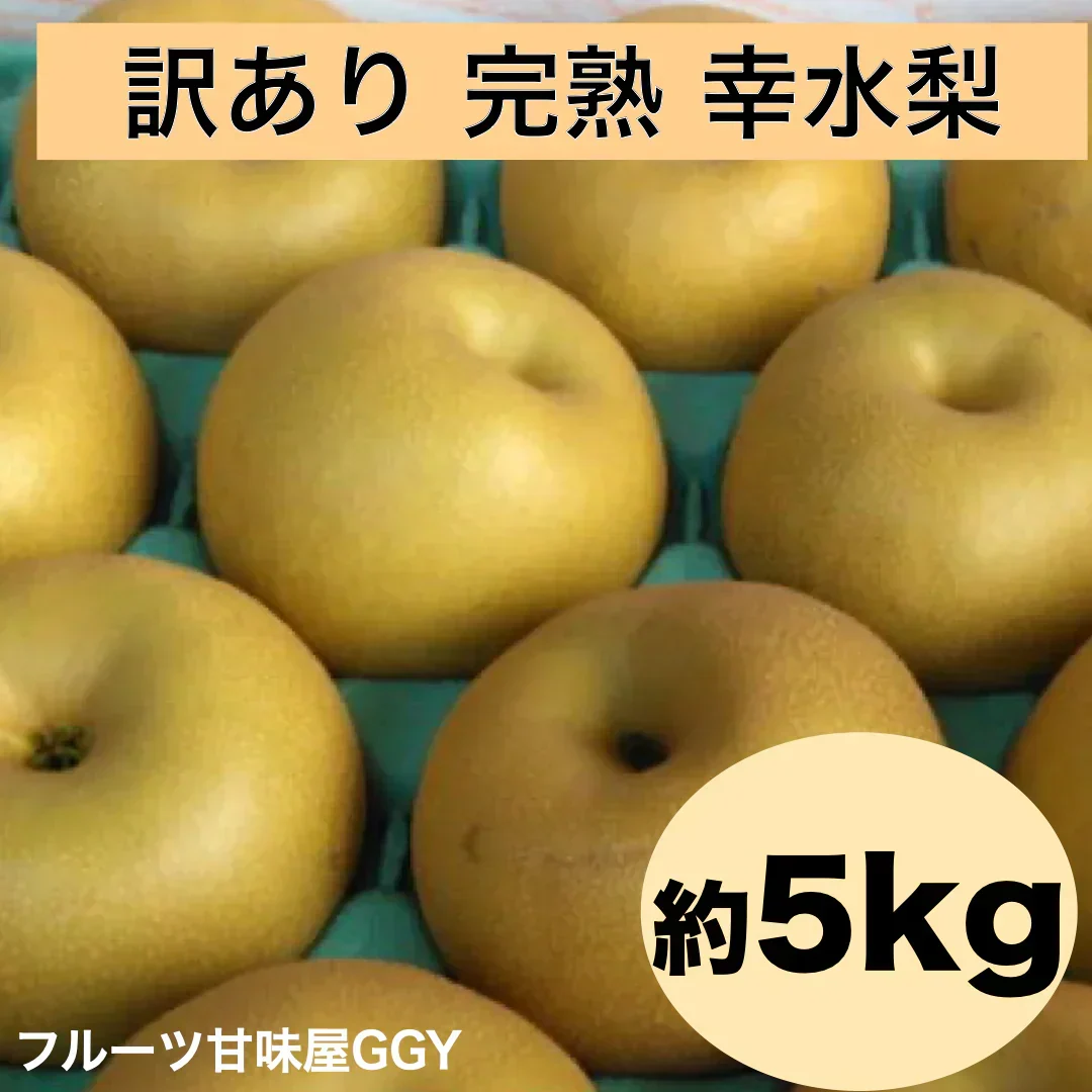 完熟 幸水 梨 訳あり 熊本産 箱込5kg (約8～24玉)【クール便発送】【7月下旬より発送】