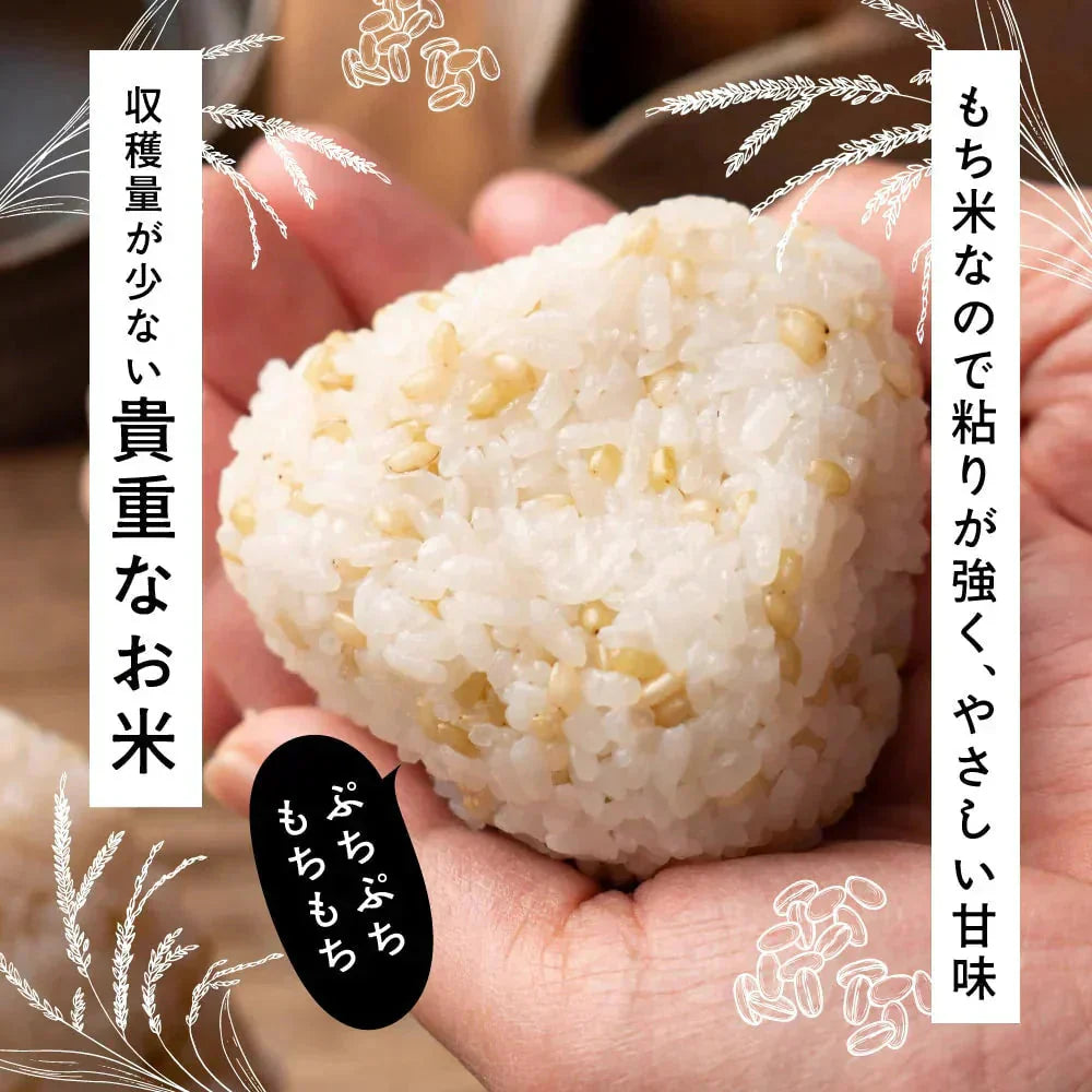 雑穀 雑穀米 国産 緑米 2.4kg(400g×6袋) ファミリーサイズ 無添加 無着色 送料無料 古代米 みどりまい
