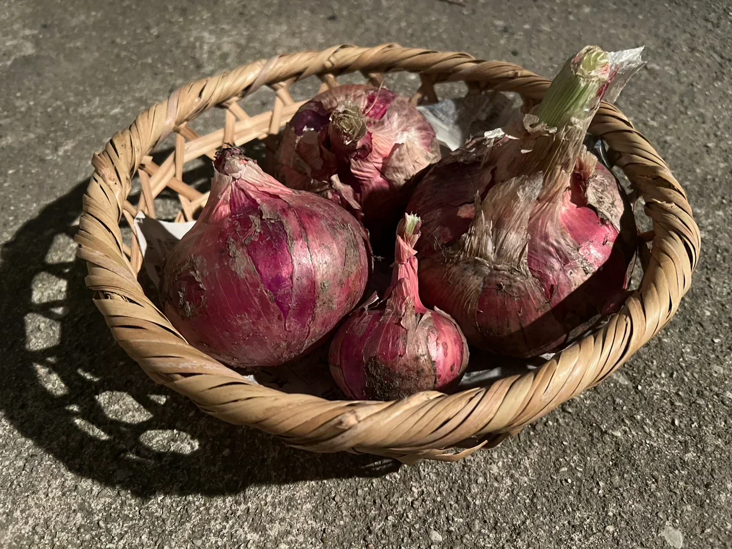 赤玉ねぎ ５kg 大阪府産 あかたまねぎ 玉葱 タマネギ 赤たまねぎ 5キロ