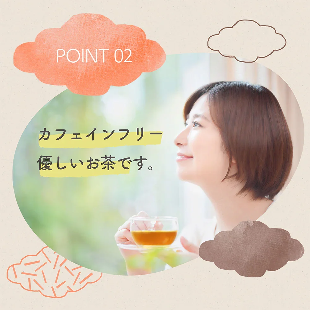 鬼棒ほうじ茶 ティーバッグ 40個入 ノンカフェイン ほうじ茶 お茶 ティーパック 棒茶 棒ほうじ茶 カフェインフリー 静岡 静岡茶 ノンカフェイン カフェインレス カフェインゼロ 送料無料 ほうじ 国産