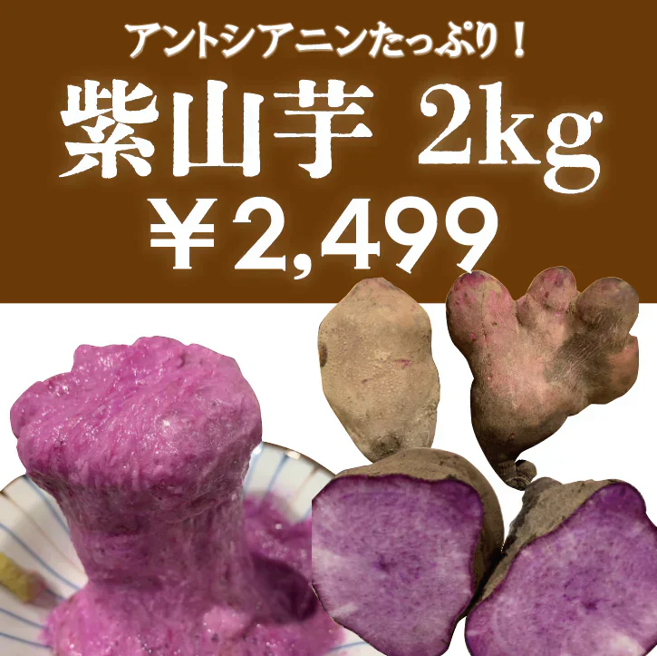 【紫山芋が獲れました！無農薬、化学肥料不使用！有機栽培！房総紫山芋をお試しください！】産地直送　産直