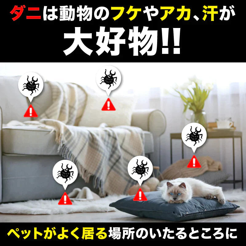 さよならダニーPET用2個セット ダニ取りシート ダニ取り ダニ捕り ダニ捕獲シート ダニ退治 ダニ対策 ダニ駆除 ダニ除け ダニ