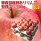 クール便　青森県産　訳あり　りんご　スマートフレッシュ！　有袋ふじ　22-46玉　10kg　　送料無料！