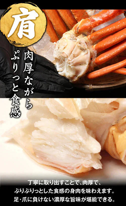 送料無料  ズワイ ずわい 蟹 かに カニ  ズワイガニ 4L 5L 約2kg(正味1.6kg、4肩〜6肩入)ロシア産・ノルウェー産