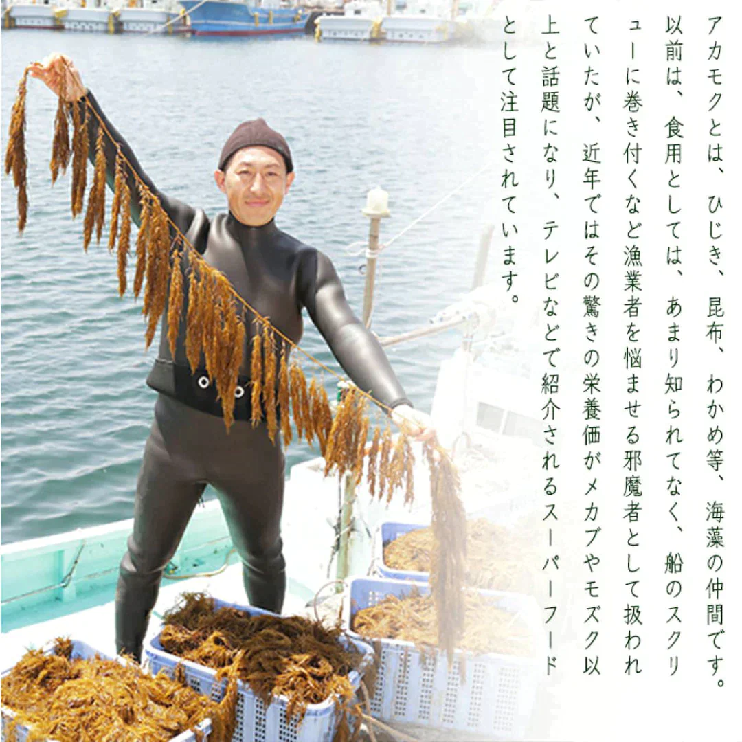 玄界灘産　宗像のあかもく80ｇ×30個　合計2400ｇ　送料無料（一部除く）　アカモク あかもく ぎばさ　国産 魚介類 ギフト お取り寄せ まとめ買い 福岡 食物繊維 ミネラル スーパーフード 海産物