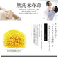 無洗米 米 宮城県産 つや姫 胚芽一番 1kg 令和5年産 新米 お米 おくさま印 国産 食品 お試し 1000円 ポッキリ メール便 送料無料