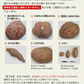 【熊本コレクション】さつまいも 種子島産 訳あり 安納芋 1.5kg 送料無料 長期熟成 お菓子 薩摩芋 さつま芋 あんのういも サツマイモ (サイズ大中小不揃い)焼き芋《3-7営業日以内に発送予定(土日祝日除く)》