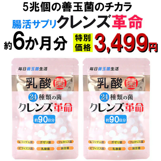 【お得2個セット・クレンズ革命】6ヶ月分 5兆個 善玉菌のチカラ  内側から スッキリ 腸活 ダイエットサプリ 腸内フローラ 納豆菌 乳酸菌 菌活 悪玉菌 ガセリ ビフィズス菌 カルニチン プロバイオティクス デトックス クレンズサプリメント ガセリ菌 悪玉菌 国産 お腹スッキリ 乳酸菌サプリ 酪酸菌　納豆菌 ナットウキナーゼ ビフィズス菌 おすすめ 人気 ランキング 効果 強力 最強 通販 日本製 国産