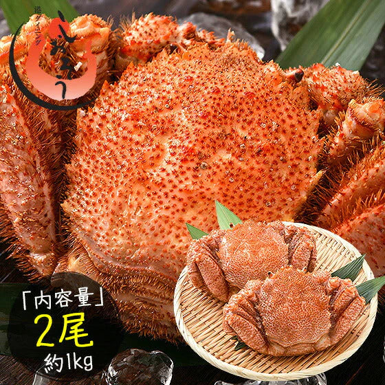 毛ガニ 500g前後×2尾 蟹 毛蟹 毛がに 海鮮 カニ かに グルメ ［送料無料］ ボイルカニ ボイル 高級グルメ ボイル蟹 お取り寄せグルメ 食品 食べ物 冷凍蟹 姿 母の日 プレゼント ギフト  母の日思いの 健康 実用的 父の日 子供 孫