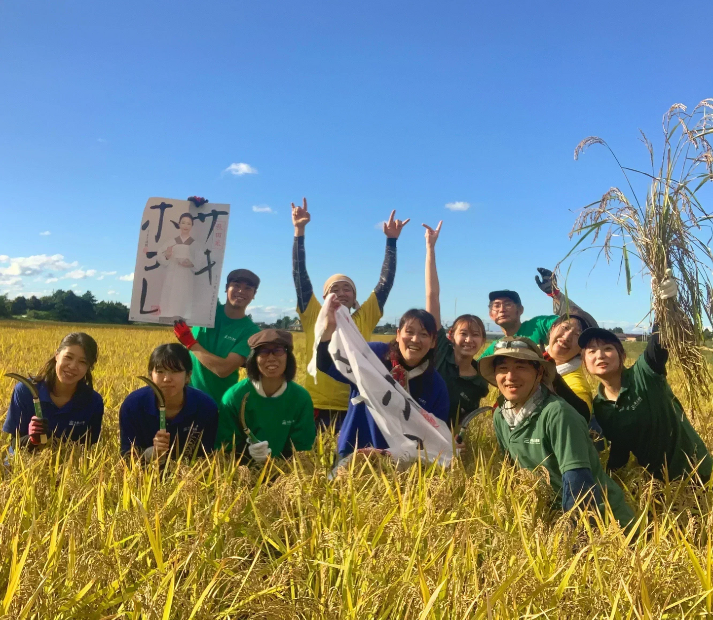 【精米セット】秋田県産あきたこまち 900g & ミルキークイーン 900g 令和5年産【古代米プレゼント付き】