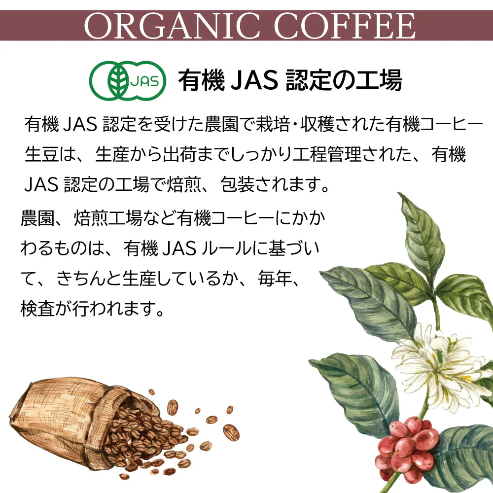 お試しセット　有機栽培コーヒー3種アソートセット　400ｇ（100ｇ✕4）　豆
