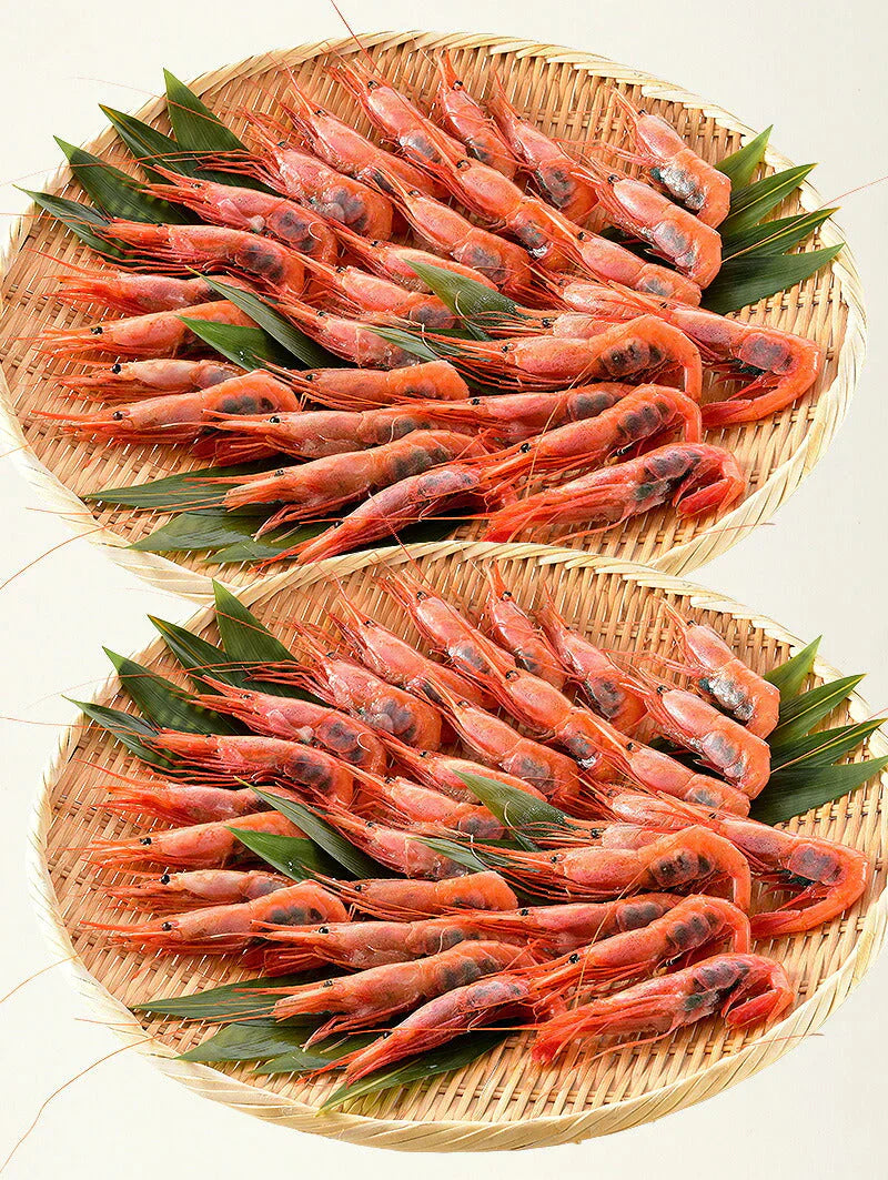 越前産 甘えび 子持ち特大サイズ 1kg（500g×2箱）約60尾入り 刺身用 甘エビ［送料無料］産地直送 海鮮 エビ セット 海老 大 美味しい 大きい えび 冷凍えび 冷凍エビ 贈り物 贈答 母の日 プレゼント ギフト  母の日思いの 健康 実用的 父の日 子供 孫