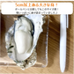 【25個以上！】香川県志度産牡蠣　３キロ