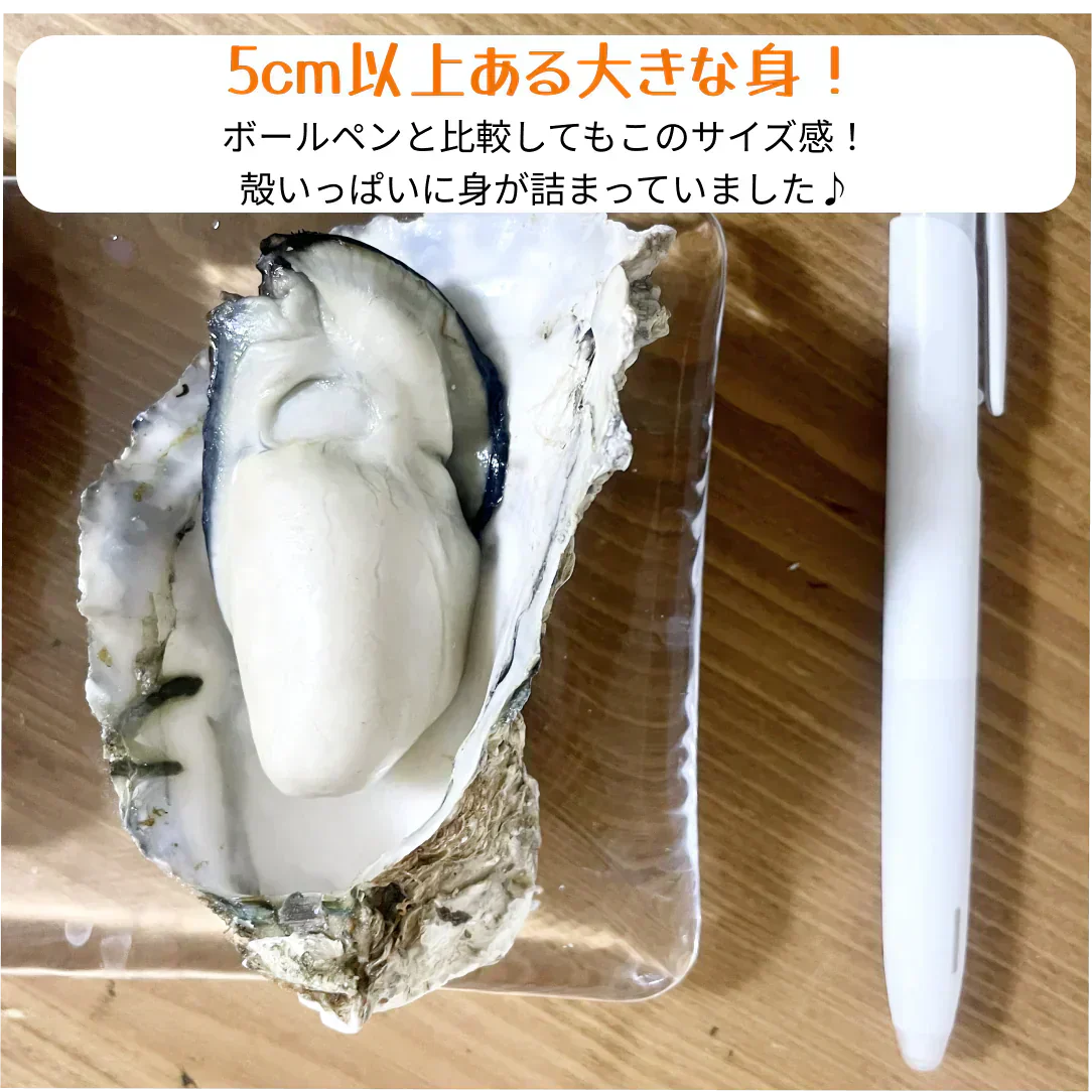 【25個以上！】香川県志度産牡蠣　３キロ