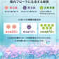 【お得3ヶ月分・クレンズ革命 】5兆個 善玉菌のチカラ 内側から スッキリ 腸活 ダイエットサプリ 腸内フローラ 納豆菌 乳酸菌 菌活 悪玉菌 ガセリ ビフィズス菌 カルニチン プロバイオティクス デトックス クレンズサプリメント ガセリ菌 悪玉菌 国産 お腹スッキリ 乳酸菌サプリ 酪酸菌　納豆菌 ナットウキナーゼ ビフィズス菌 おすすめ 人気 ランキング 効果 強力 最強 通販 日本製 国産