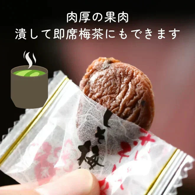 【種なし】梅干し 個包装 赤しそ入り 塩分補給 90g ／しそ梅ちゃん うめぼし 干し梅 梅菓子 お菓子 おやつ おかし 梅 梅干 持ち運び お茶うけ お茶 非常食 子供 大人 熱中症対策 種無し干し梅
