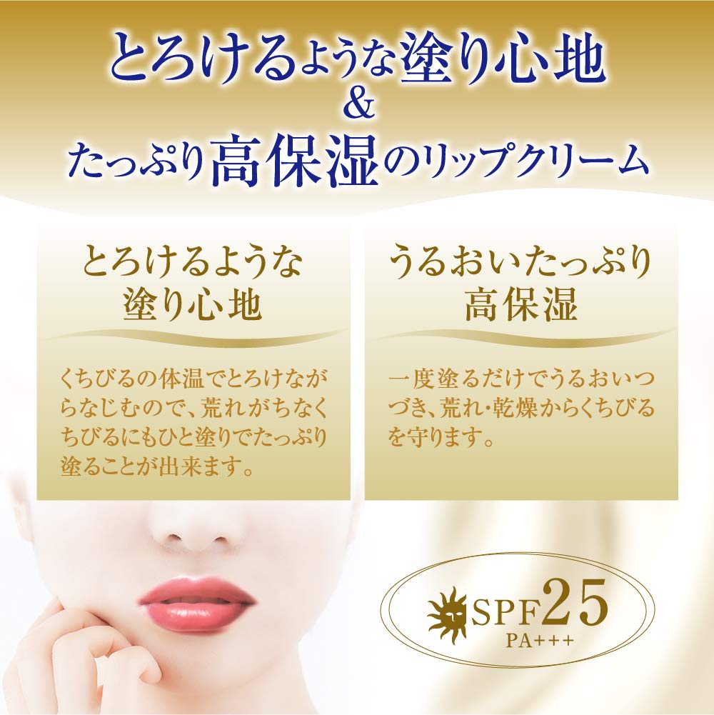 メンソレータム　メルティクリームリップ　リッチハニー　２．４ｇ 容量1個 ロート製薬 リップクリーム