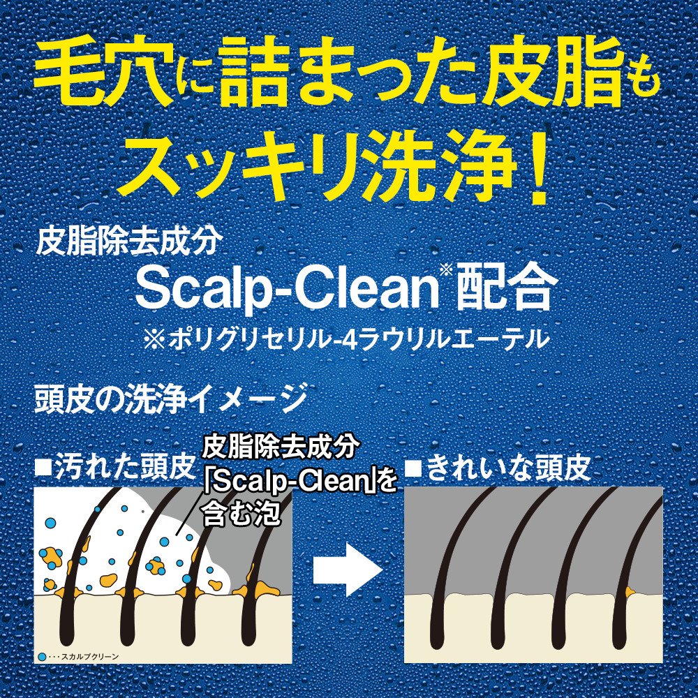 サンスタートニック爽快頭皮ケアシャンプーリンスイン 容量460ML サンスター シャンプー