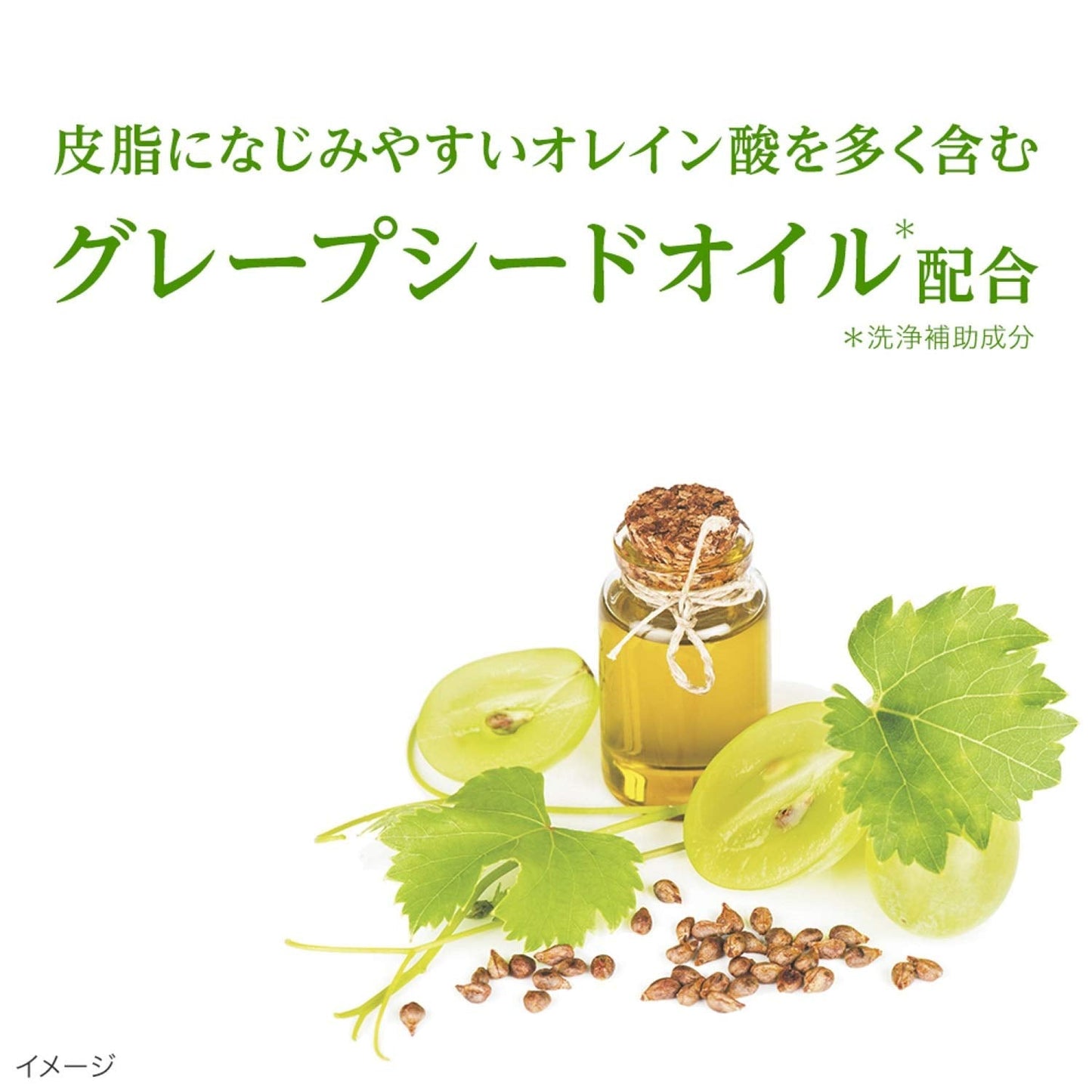 ダヴボタニカルセレクションポアビューティ―泡洗顔料１４５ＭＬ 容量145ML 洗顔・クレンジング