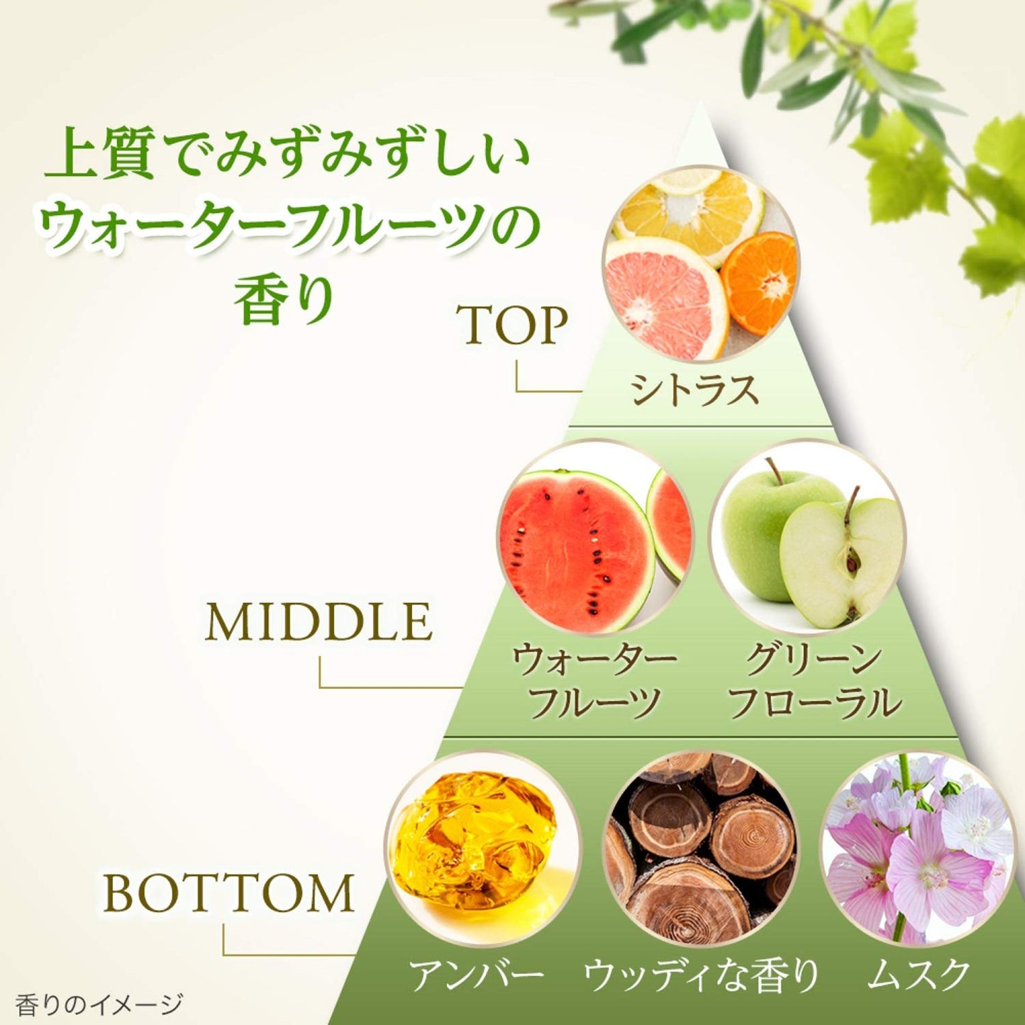 ダヴボタニカルセレクションポアビューティ―泡洗顔料１４５ＭＬ 容量145ML 洗顔・クレンジング