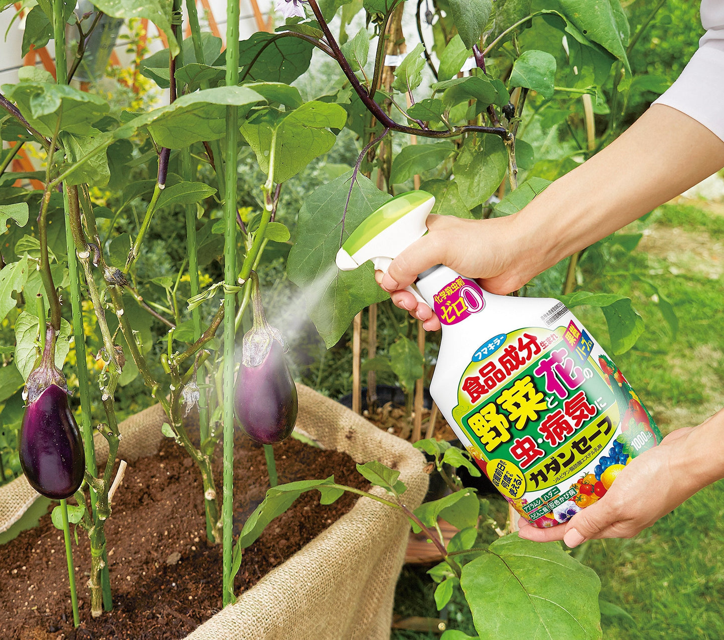 カダンセーフ１０００ＭＬ 容量1000ML フマキラー 園芸用品・殺虫剤