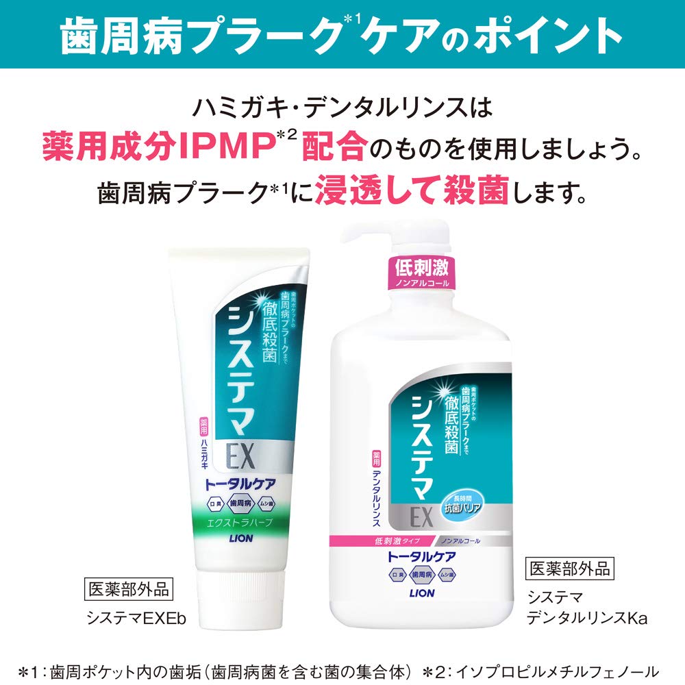 システマＥＸデンタルリンス　ノンアルコールタイプ　９００ＭＬ 容量900ML ライオン 歯磨き